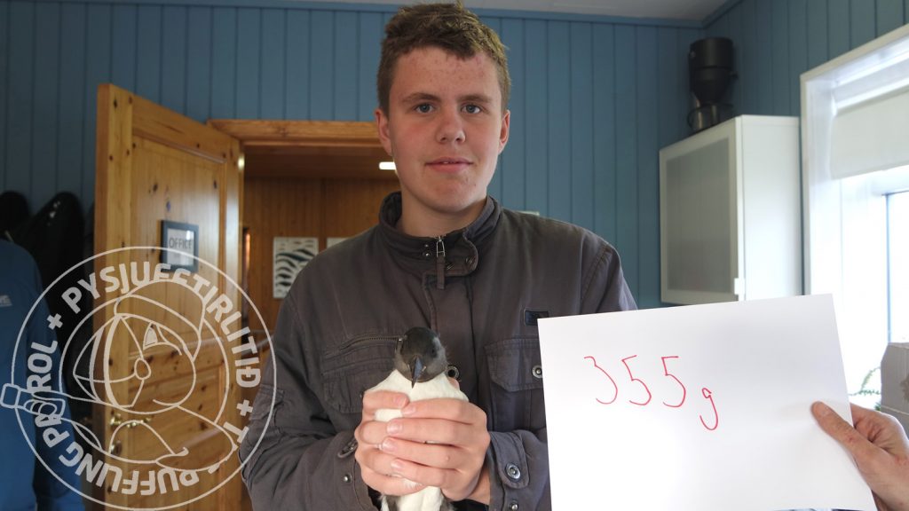 Daníel Hreggviðsson