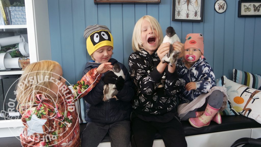 Eva Eldey Tryggvadóttir, Bjartur Tryggvason, Sigmundur Gísli Unnarsson, Júlína Von Unnarsdóttir